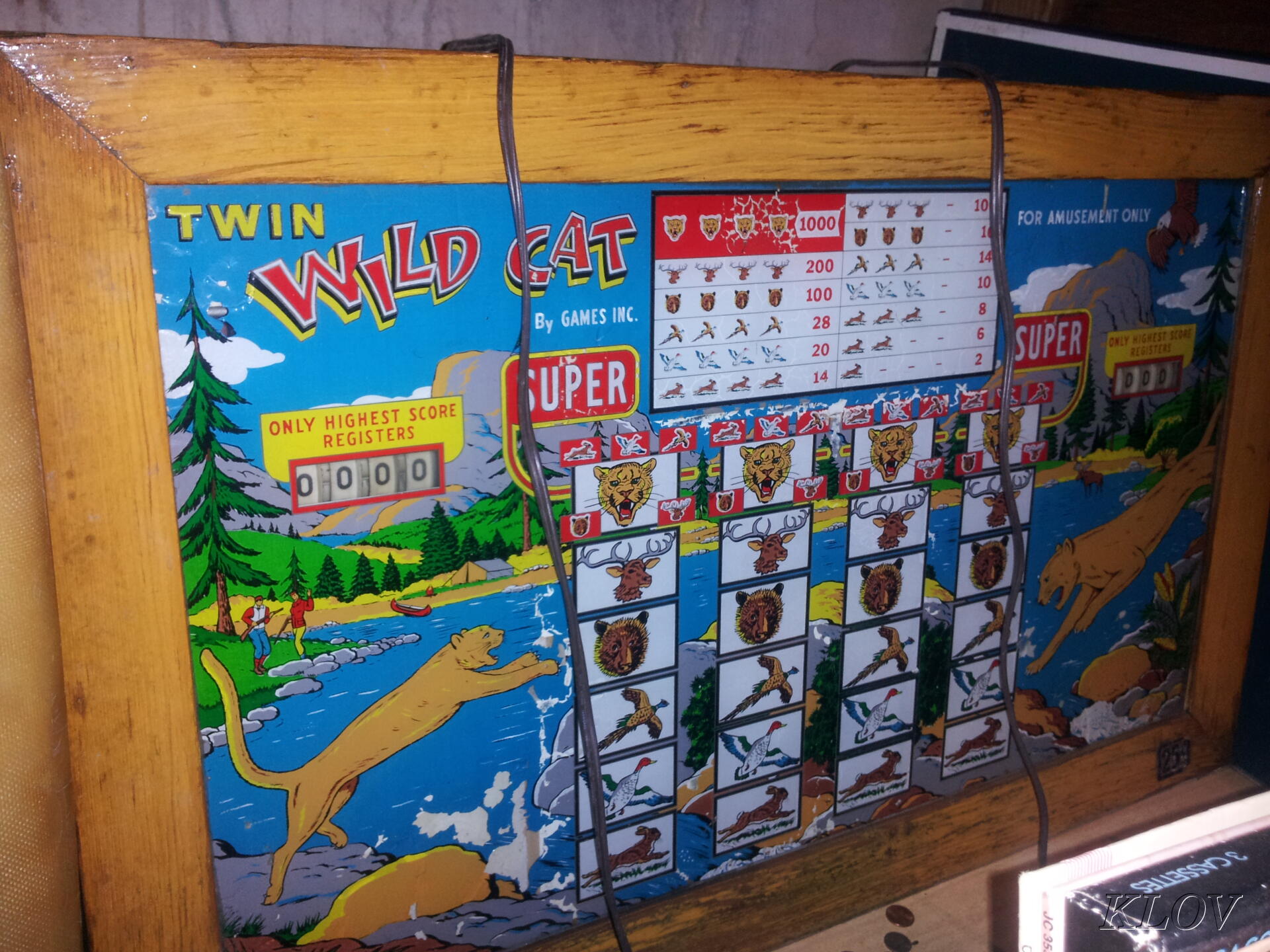 Twins Wild Screenshot