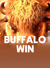 Buffalo Win