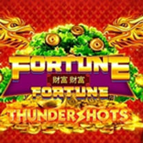 Fortune Fortune: Thundershots
